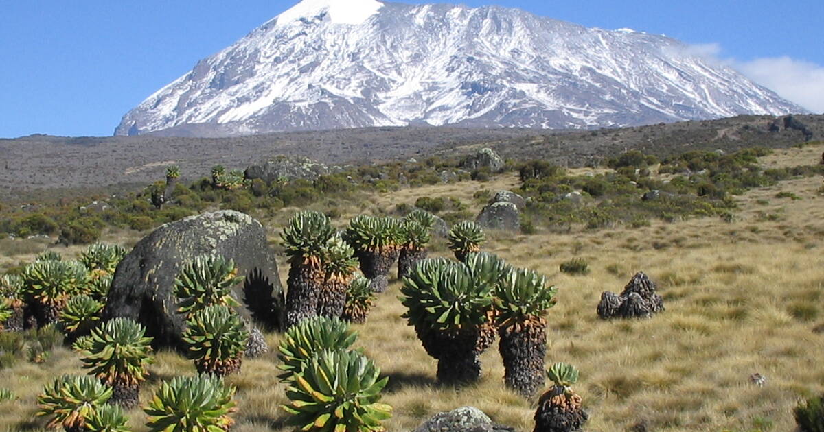 Kilimanjaro