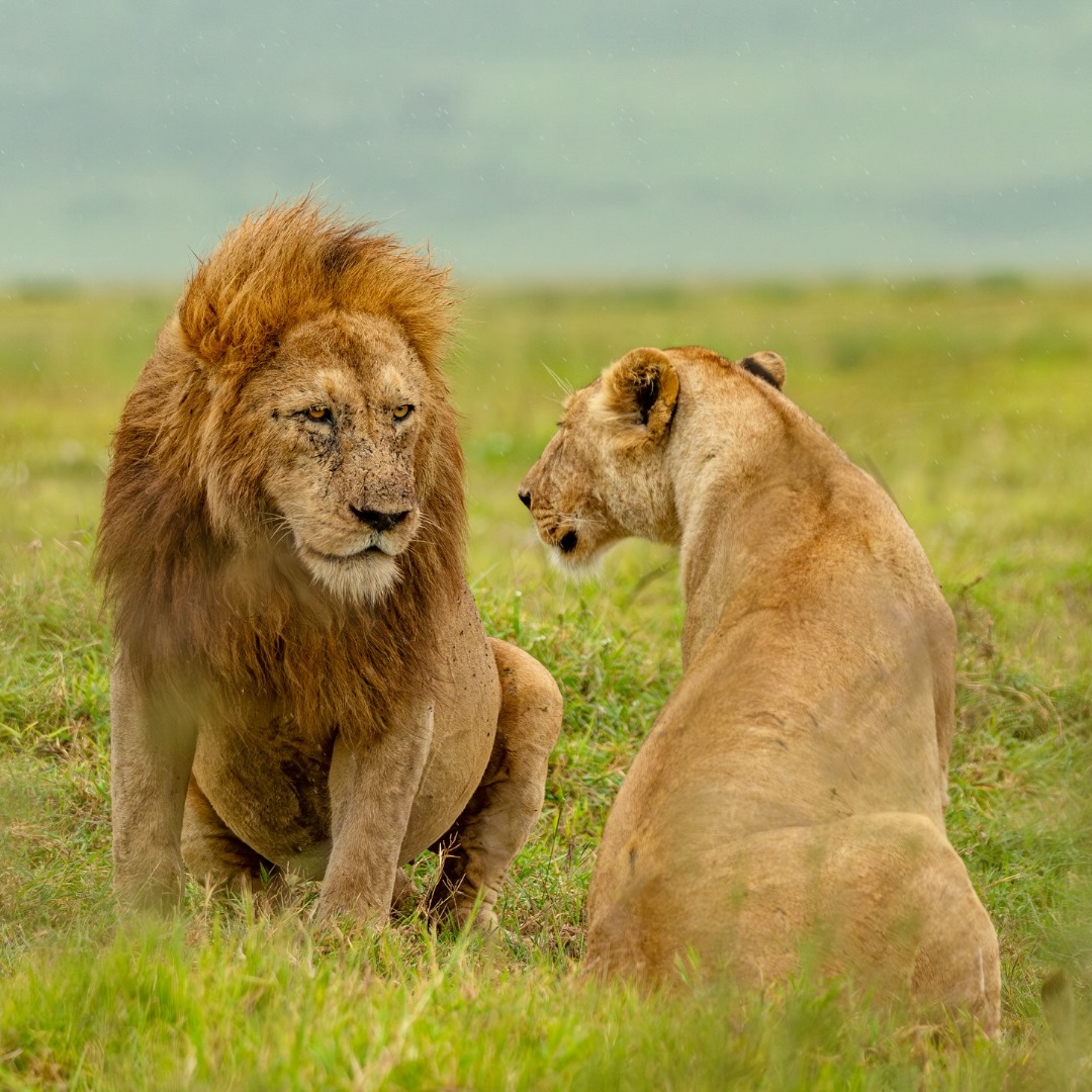 Serengeti National Park