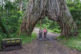 Arusha National Park